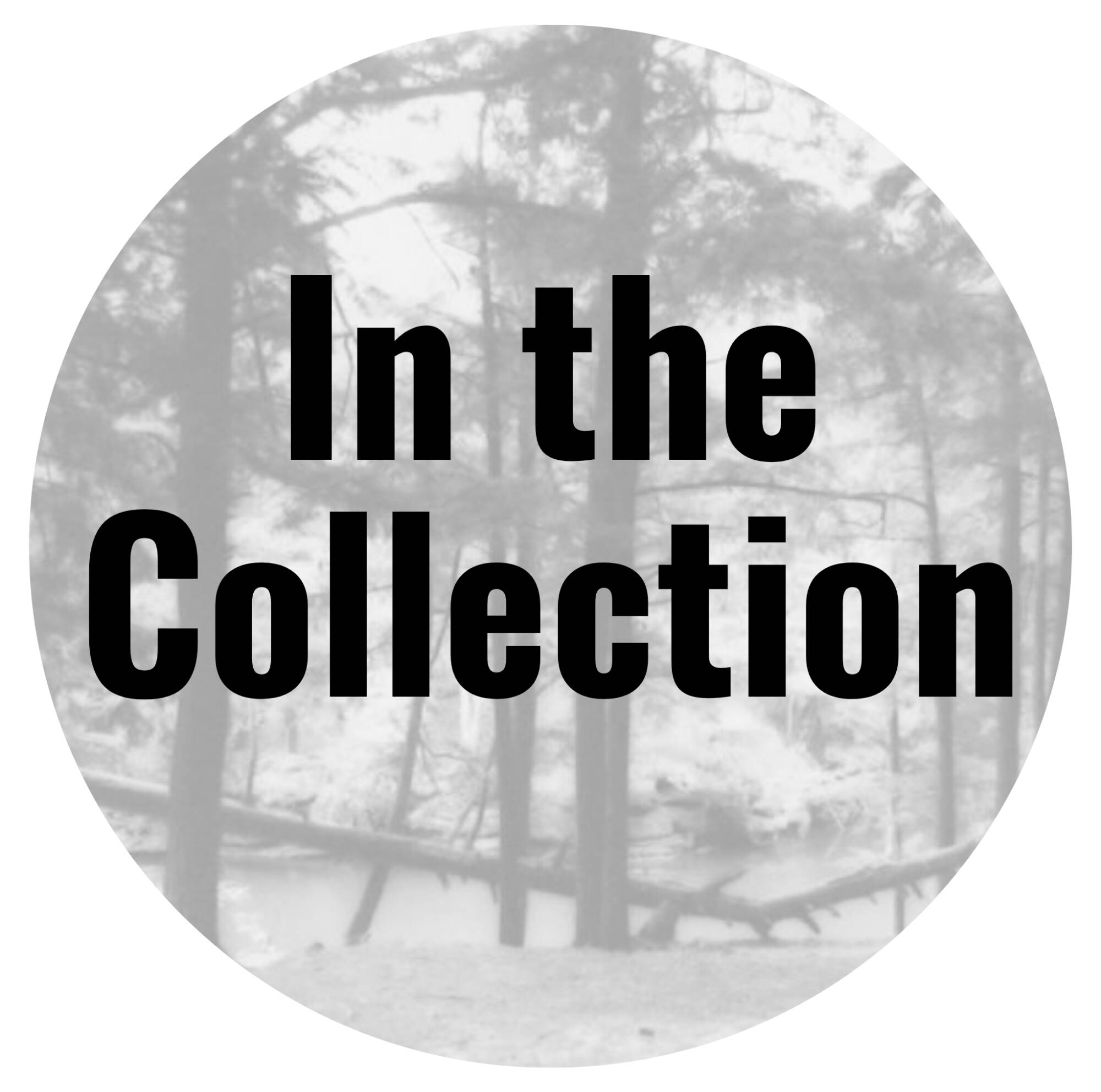 Click to learn more about photography in the collection
